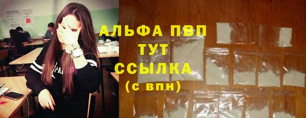 прущие крисы Карпинск
