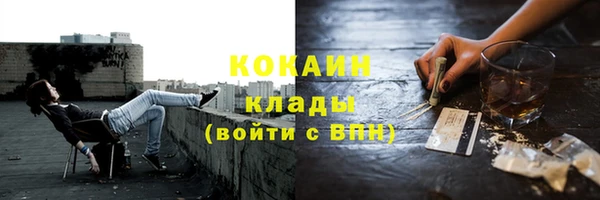 мет Касимов
