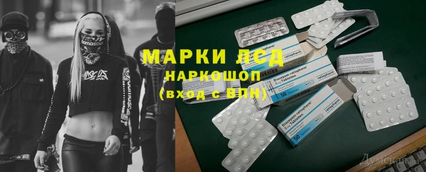 шишки Карталы