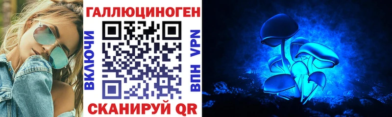 Галлюциногенные грибы Psilocybe  Купить закладки  Евпатория 